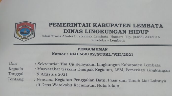 DLH-696x390.jpg