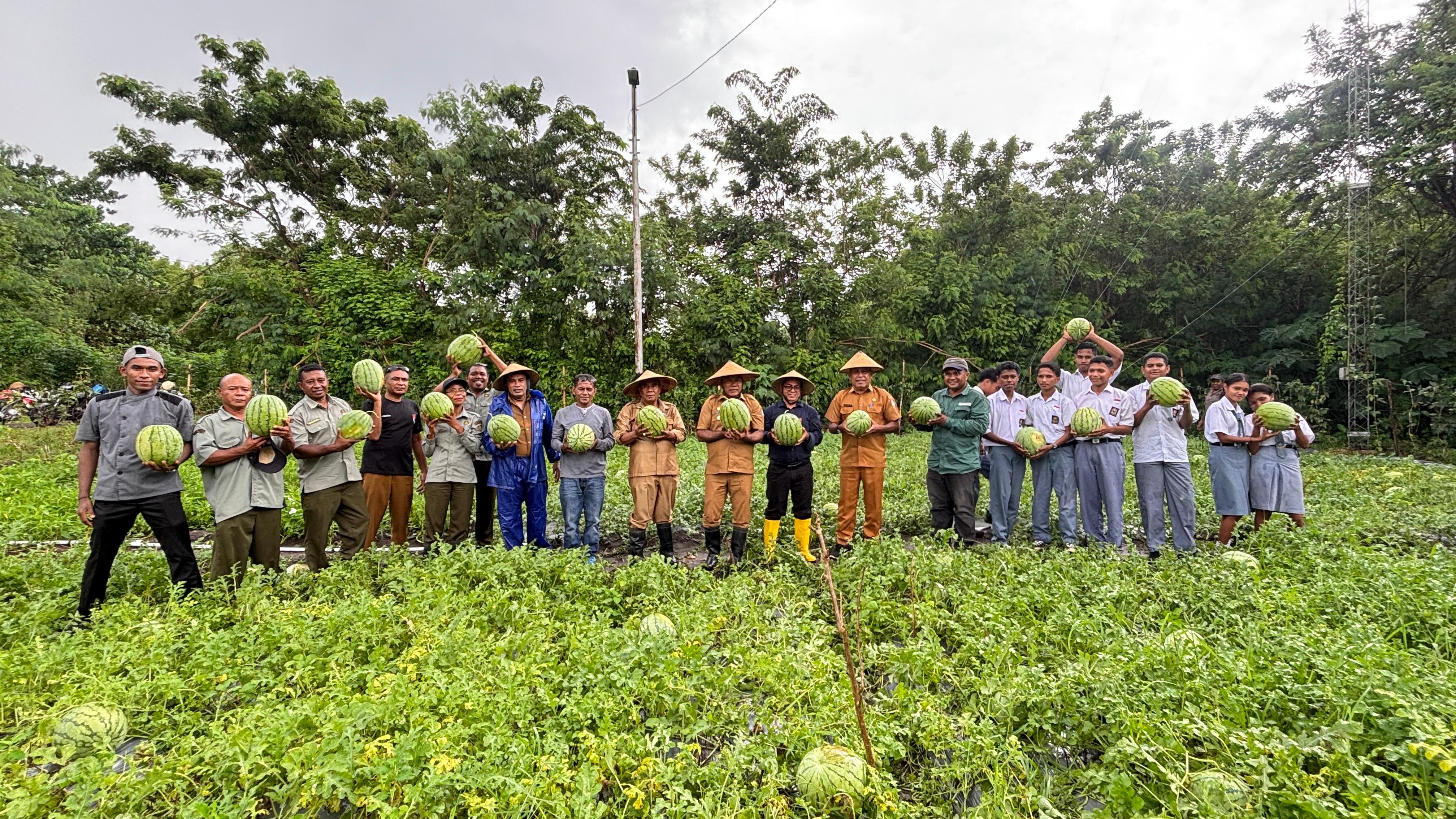 Manis Semangka di Demplot Pemantik, Diprediksi Cuan Rp47 Juta, Perkuat Rantai Pasok Program MBG