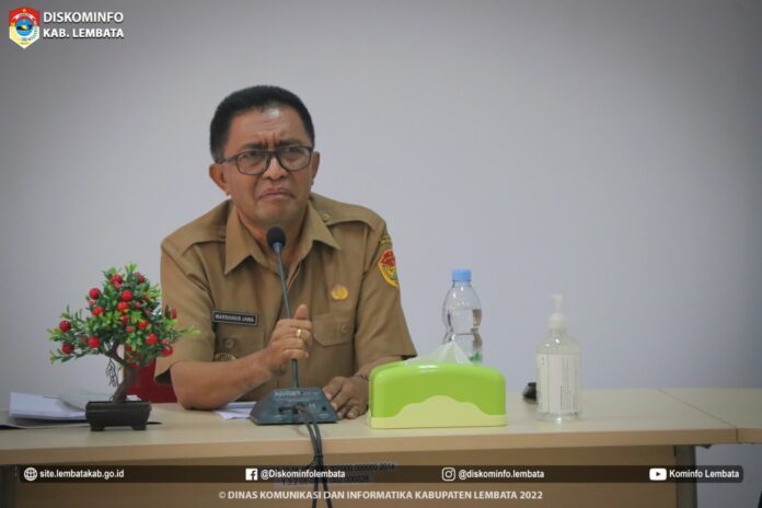 apip11.jpg