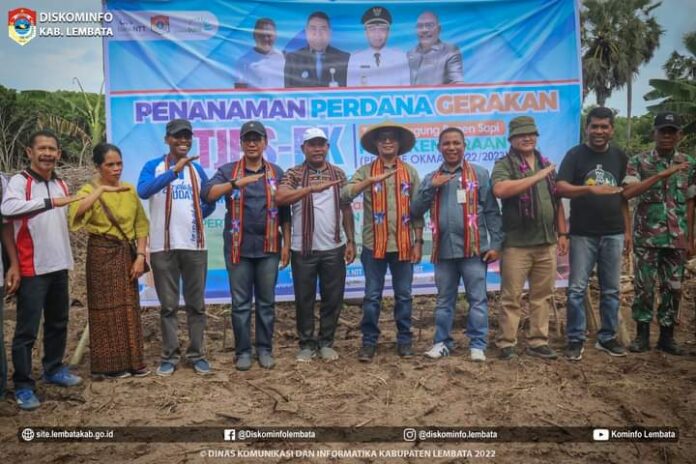 ketahanan.jpg